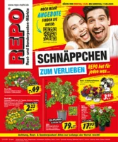 REPO-Markt Prospekt vom 12.05.2025