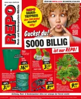REPO-Markt Prospekt vom 02.06.2025