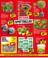 REPO-Markt Prospekt vom 10.06.2025