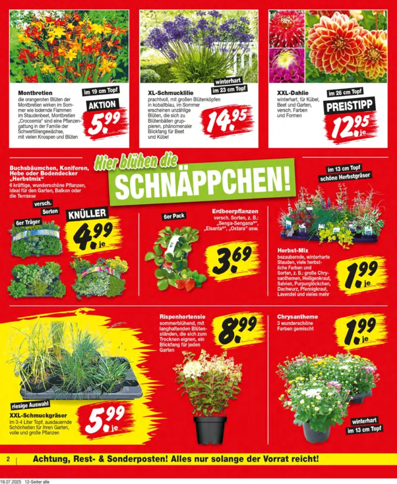 REPO-Markt Prospekt vom 21.07.2025, Seite 2