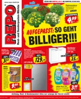 REPO-Markt Prospekt vom 28.07.2025
