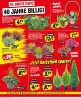 REPO-Markt Prospekt vom 15.09.2025
