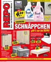 REPO-Markt Prospekt vom 29.09.2025