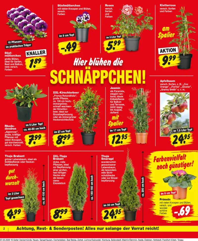 REPO-Markt Prospekt vom 09.03.2026, Seite 2