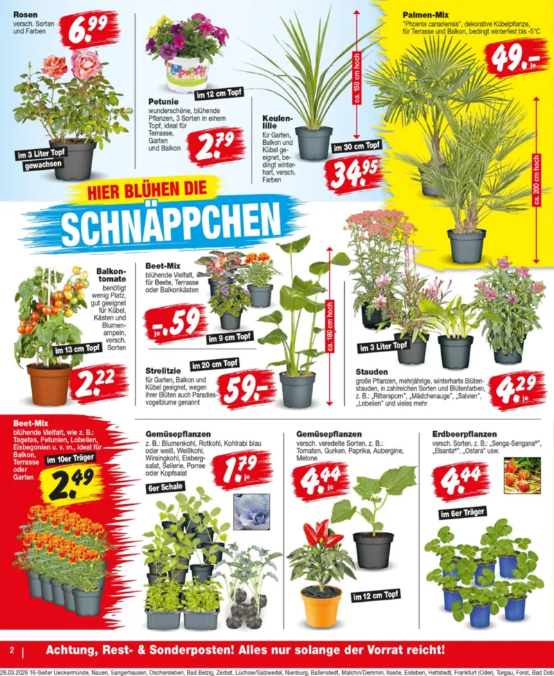 REPO-Markt Prospekt vom 30.03.2026, Seite 2