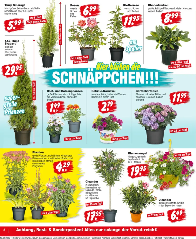 REPO-Markt Prospekt vom 20.04.2026, Seite 2