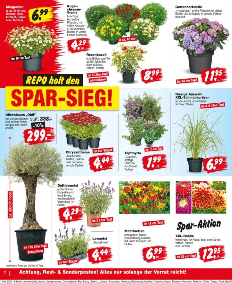 REPO-Markt Prospekt vom 15.06.2026, Seite 2