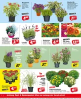 REPO-Markt Prospekt vom 22.06.2026