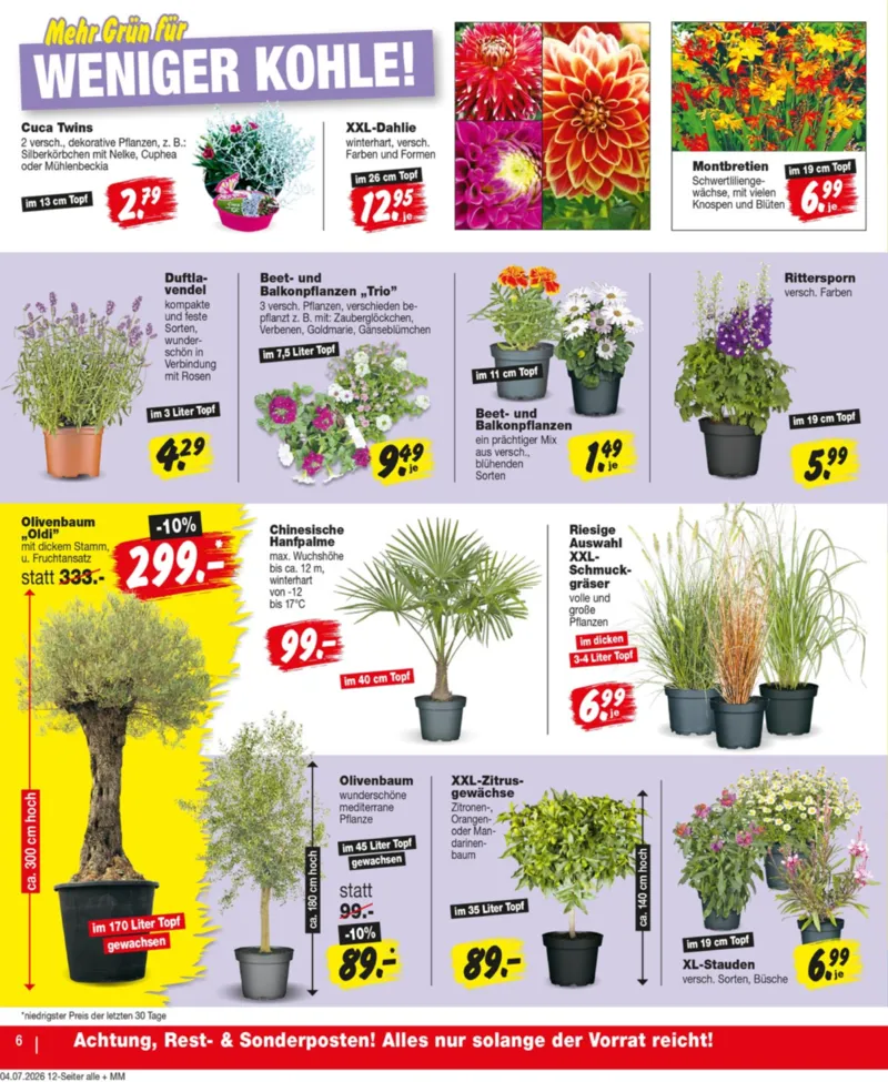 REPO-Markt Prospekt vom 06.07.2026, Seite 6