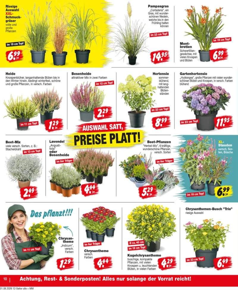 REPO-Markt Prospekt vom 03.08.2026, Seite 10