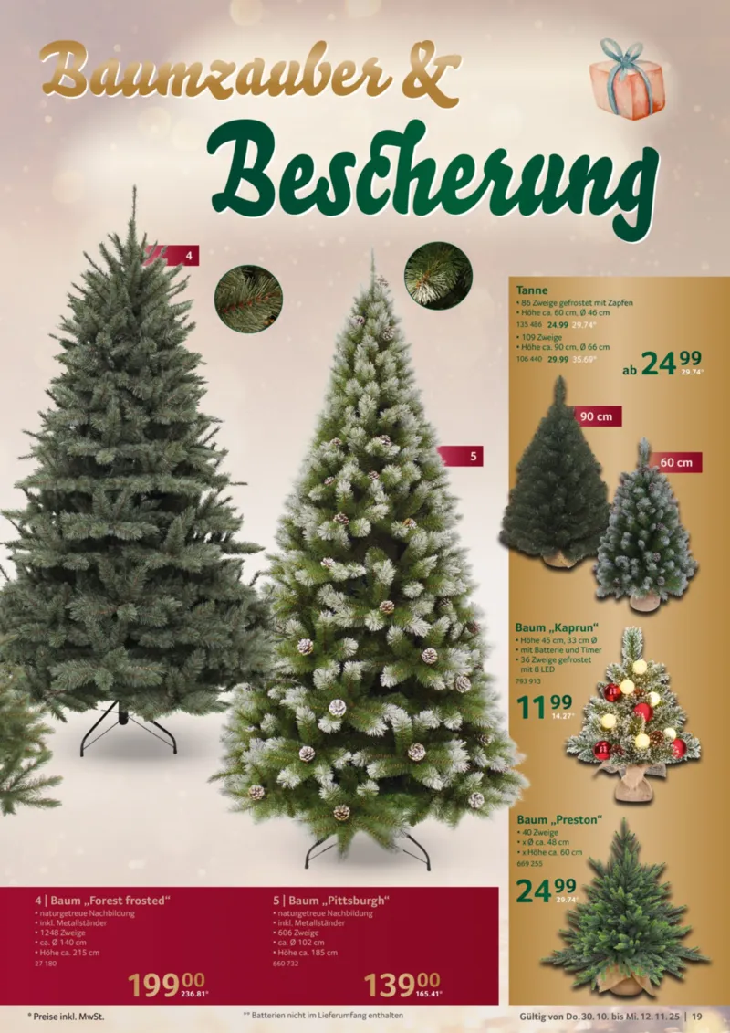 Selgros Prospekt vom 30.10.2025, Seite 19