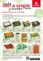 Selgros Prospekt vom 09.02.2026