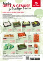 Selgros Prospekt vom 22.06.2026