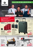 Selgros Prospekt vom 25.06.2026