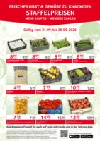 Selgros Prospekt vom 21.09.2026
