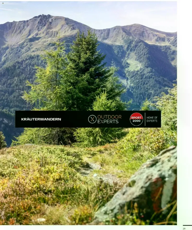 Sport 2000 Prospekt vom 12.04.2026, Seite 29
