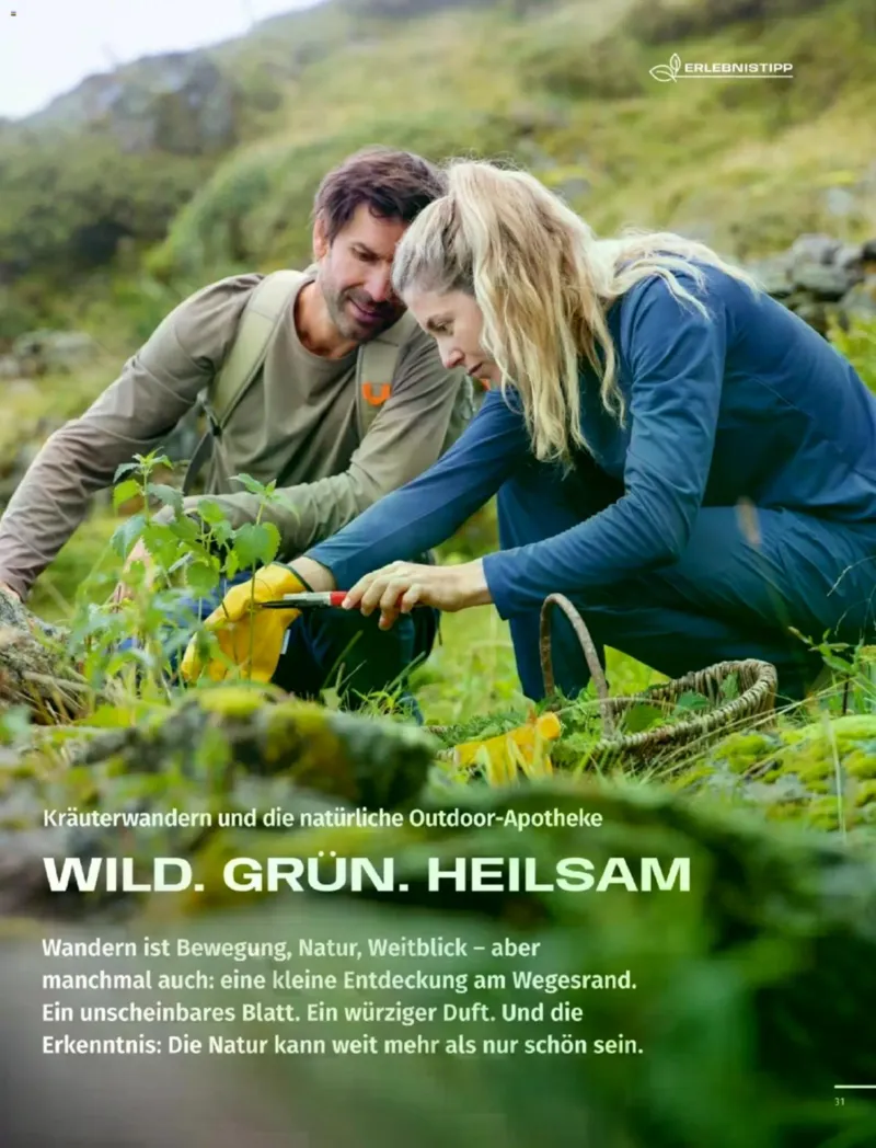 Sport 2000 Prospekt vom 12.04.2026, Seite 31