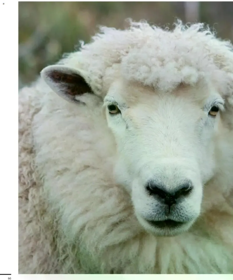 Sport 2000 Prospekt vom 12.04.2026, Seite 60