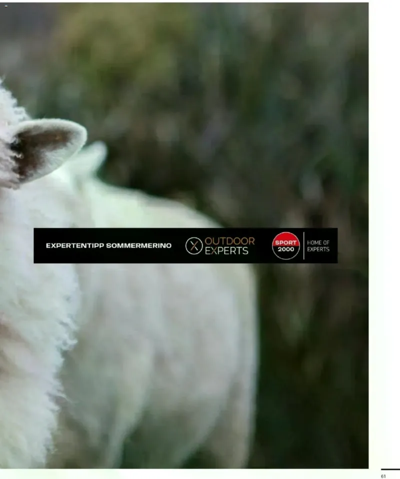 Sport 2000 Prospekt vom 12.04.2026, Seite 61