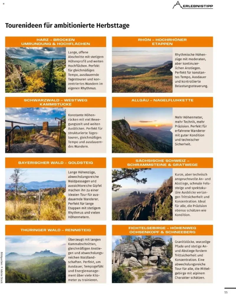 Sport 2000 Prospekt vom 03.09.2026, Seite 55