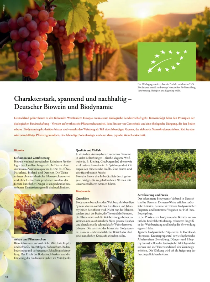 tegut Prospekt vom 01.12.2025, Seite 30