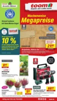toom Prospekt vom 11.10.2025