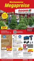 toom Prospekt vom 15.11.2025