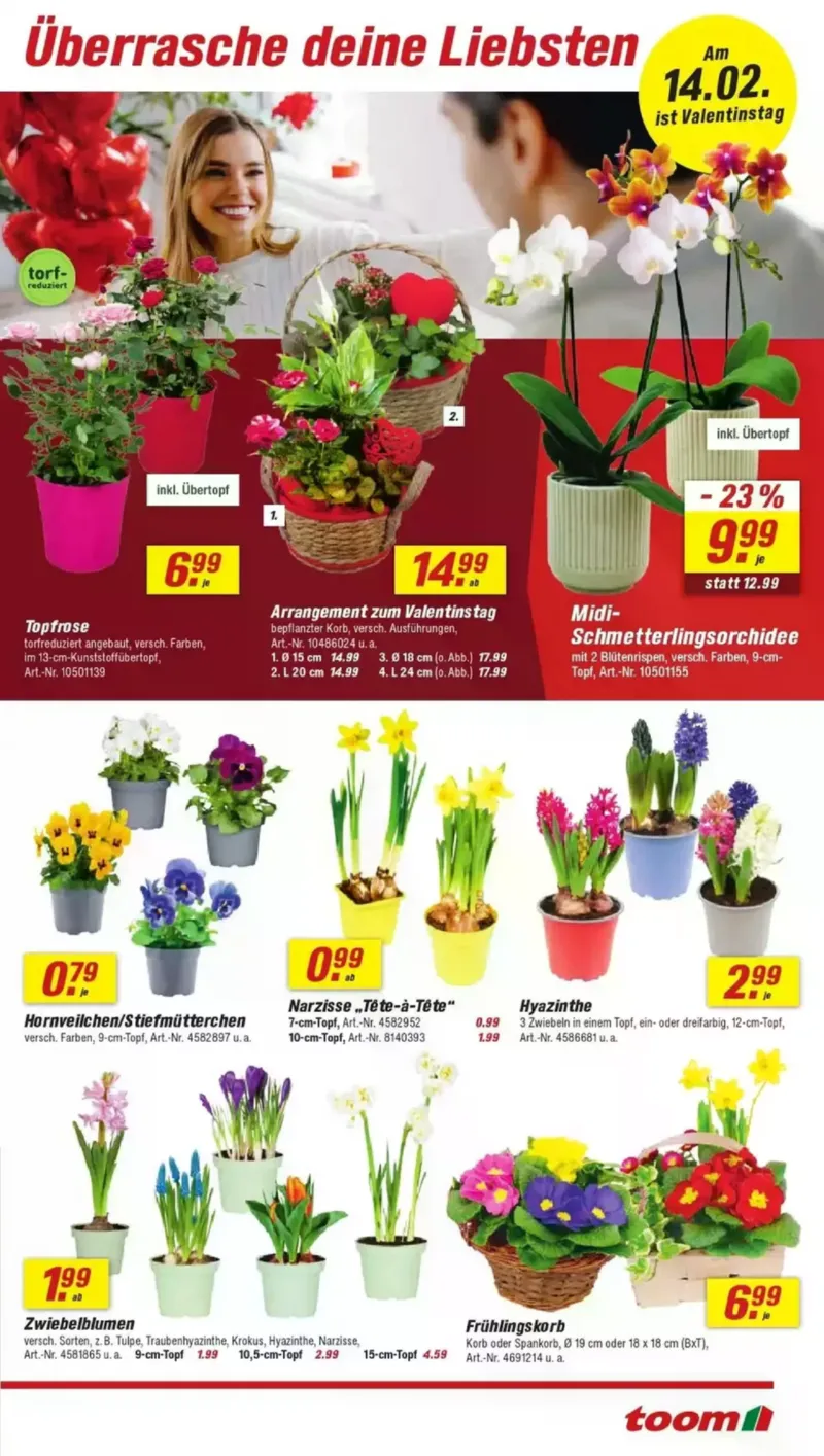 toom Prospekt vom 07.02.2026, Seite 3