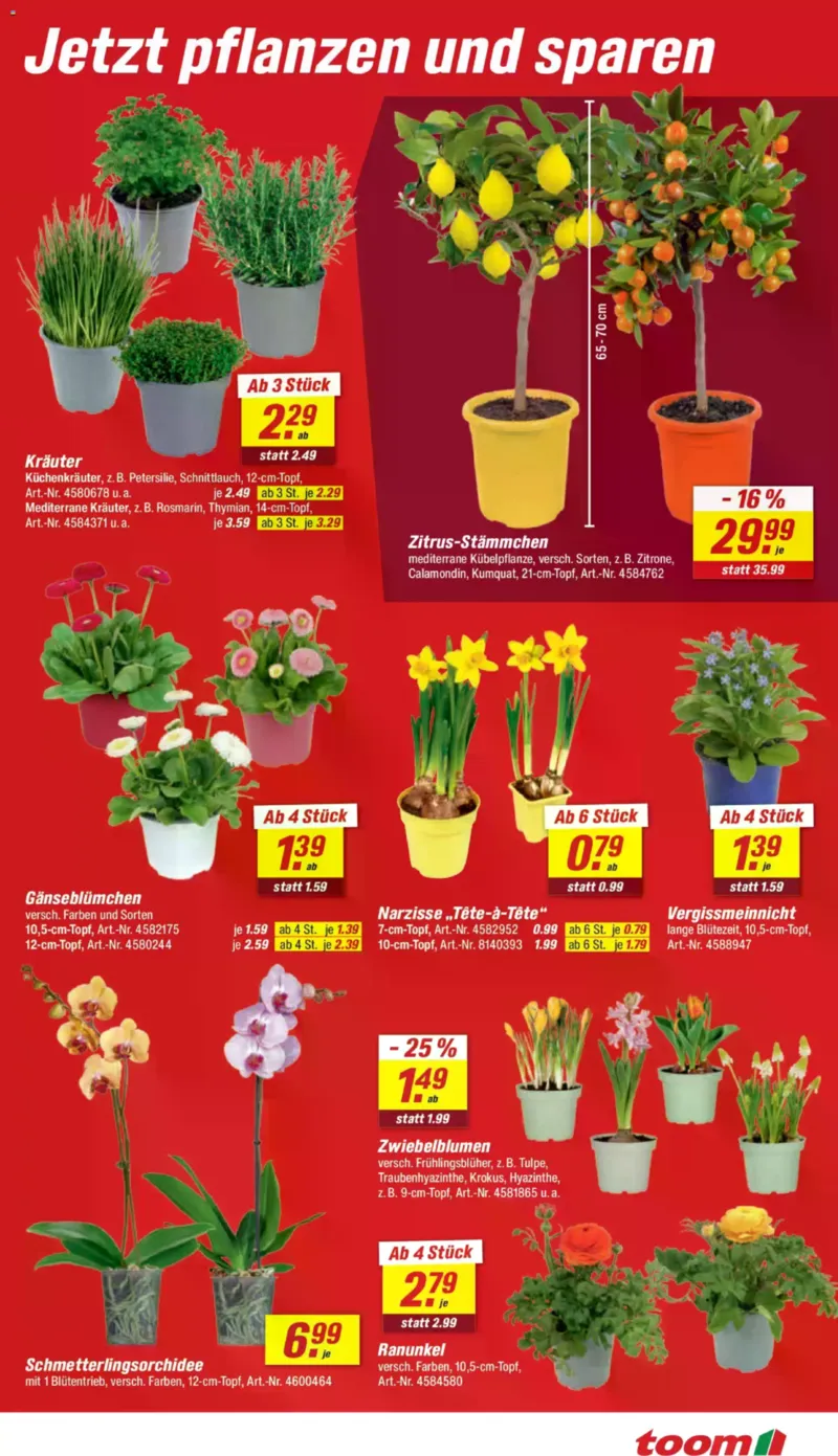 toom Prospekt vom 07.03.2026, Seite 3