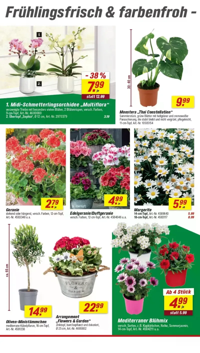 toom Prospekt vom 28.03.2026, Seite 6