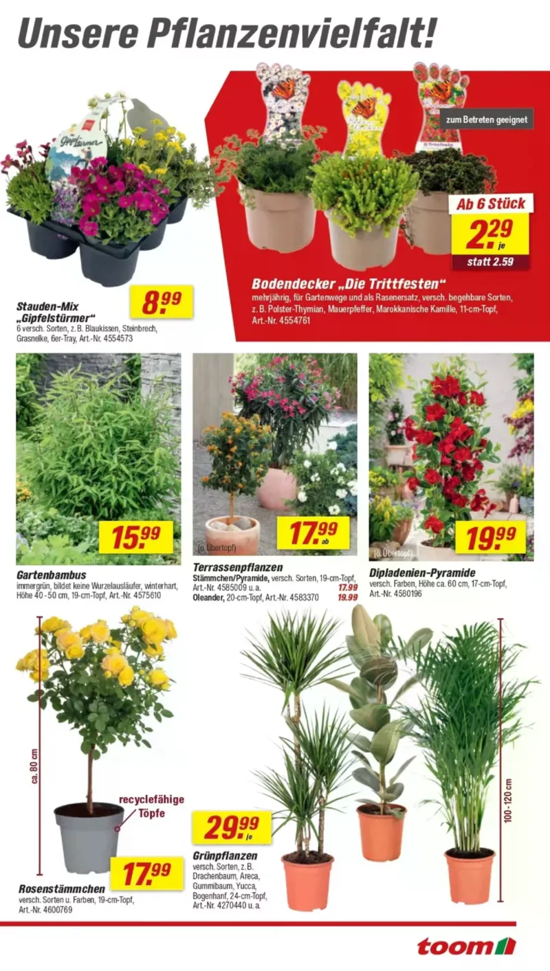 toom Prospekt vom 28.03.2026, Seite 7