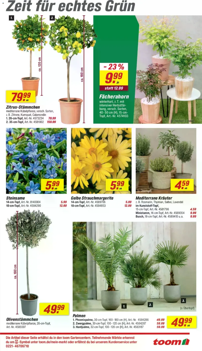 toom Prospekt vom 28.03.2026, Seite 3