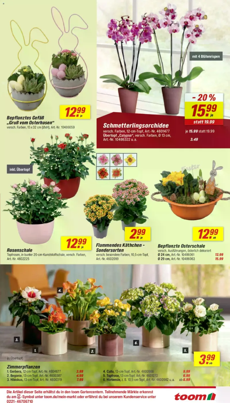 toom Prospekt vom 28.03.2026, Seite 5