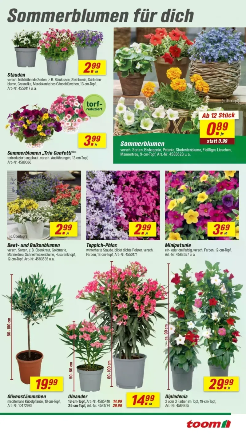 toom Prospekt vom 11.04.2026, Seite 3