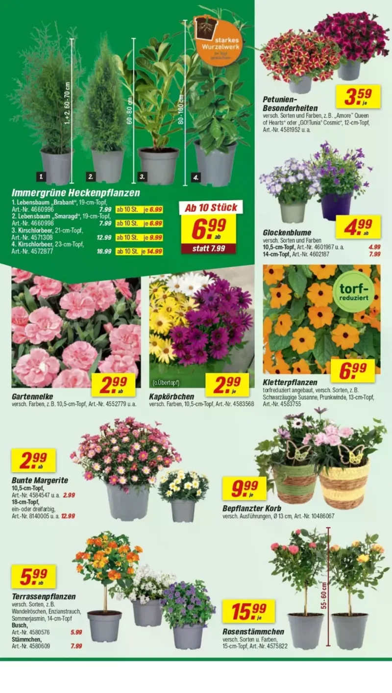 toom Prospekt vom 11.04.2026, Seite 4