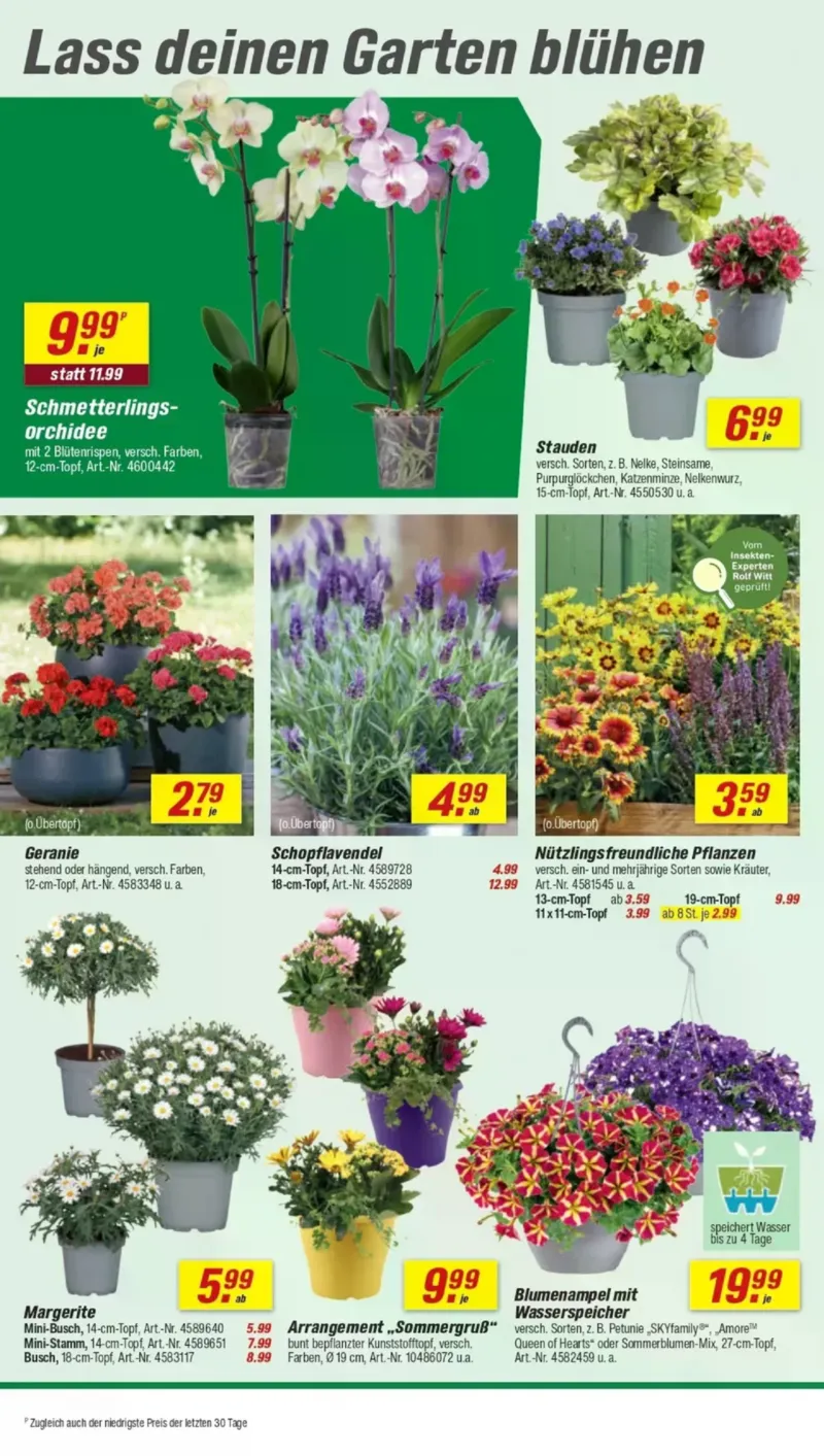 toom Prospekt vom 18.04.2026, Seite 6