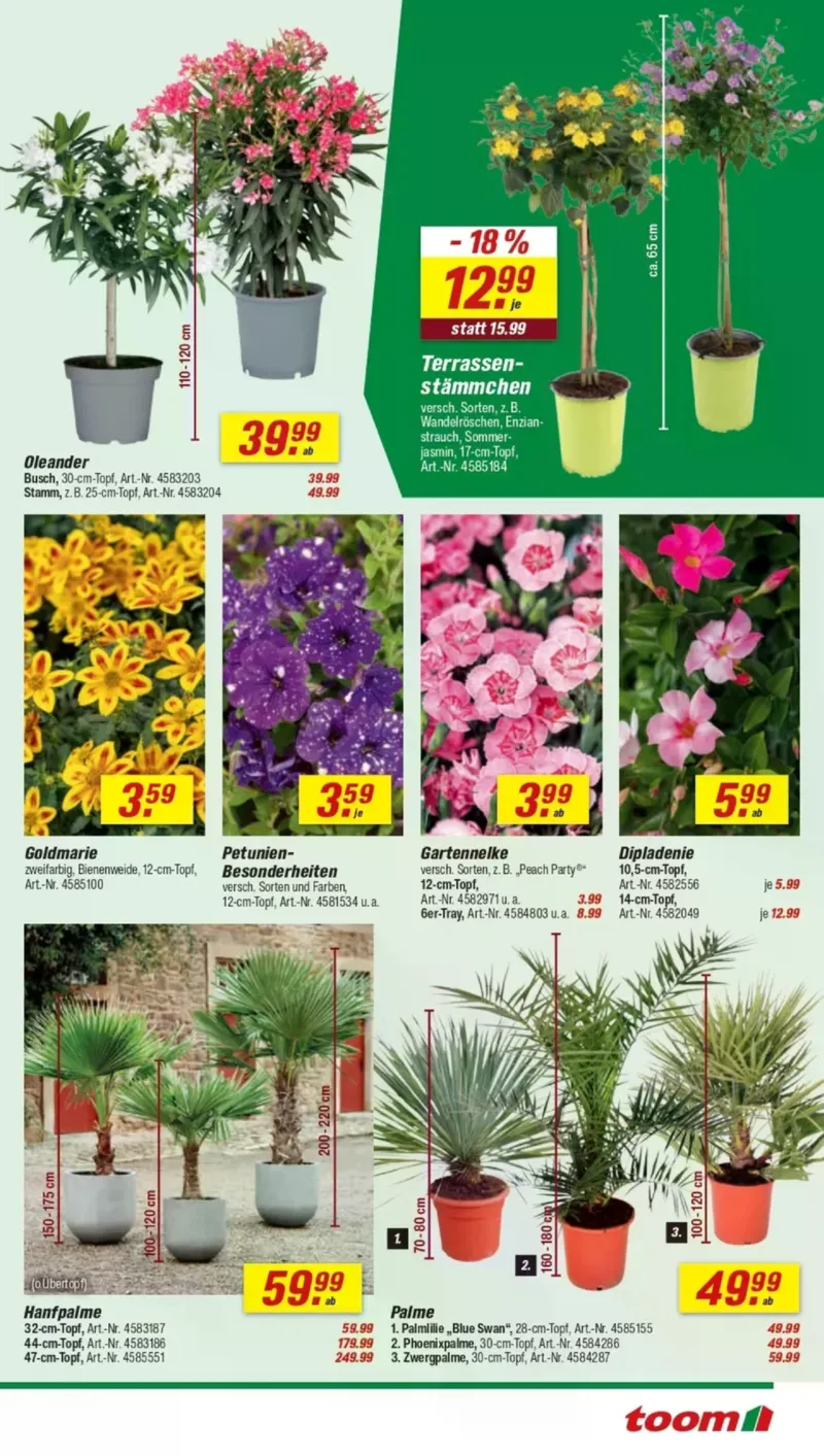 toom Prospekt vom 18.04.2026, Seite 7