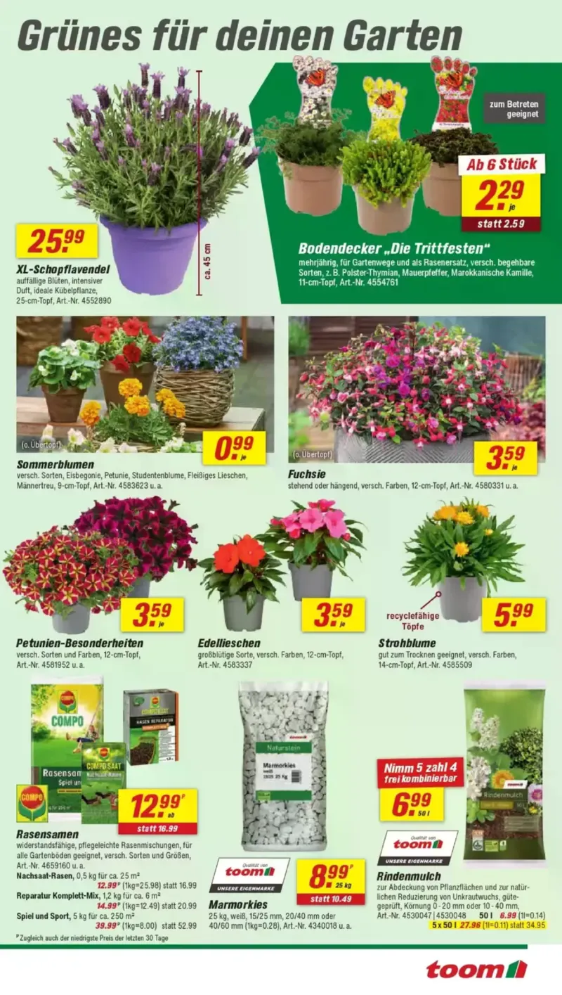 toom Prospekt vom 25.04.2026, Seite 3