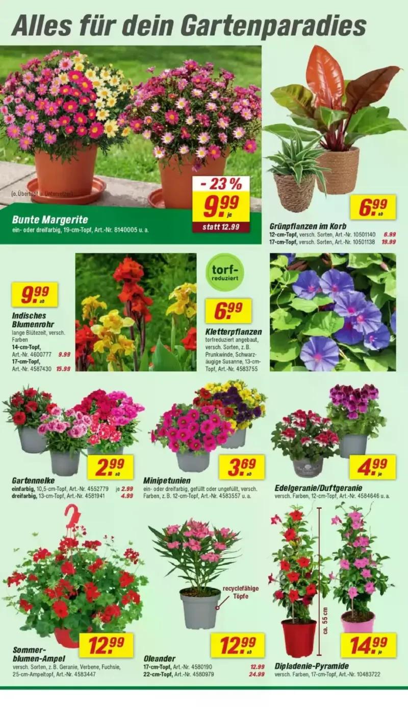 toom Prospekt vom 25.04.2026, Seite 4