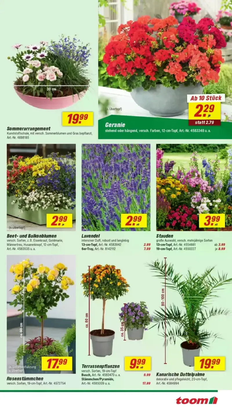 toom Prospekt vom 25.04.2026, Seite 5