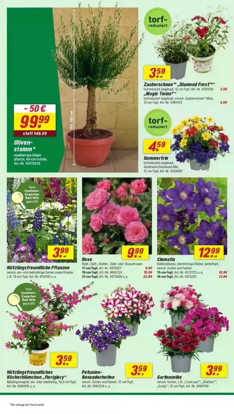 toom Prospekt vom 02.05.2026, Seite 6