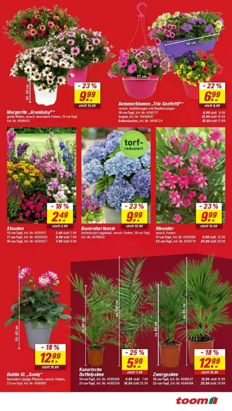 toom Prospekt vom 09.05.2026, Seite 3