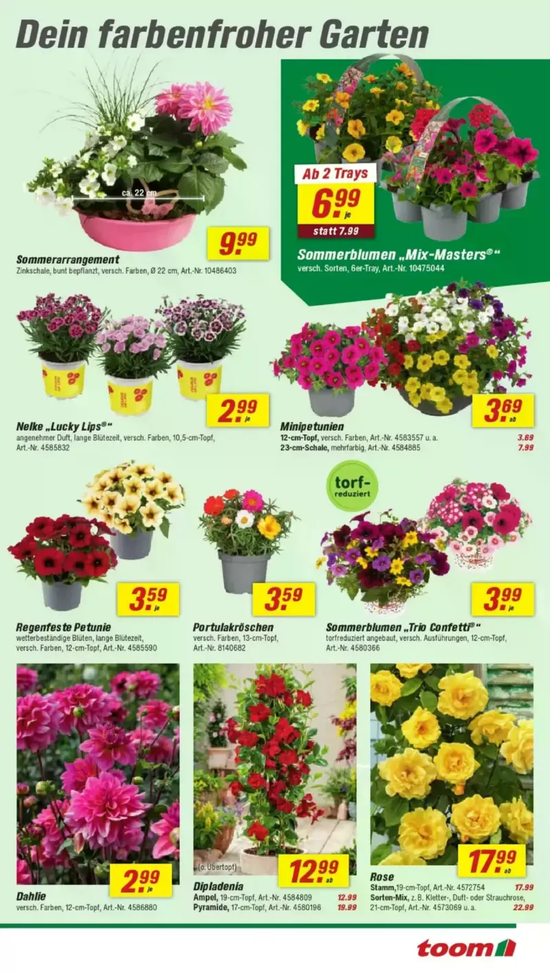 toom Prospekt vom 16.05.2026, Seite 3