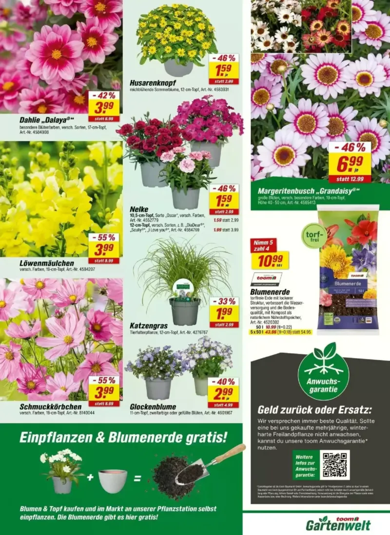 toom Prospekt vom 23.05.2026, Seite 20