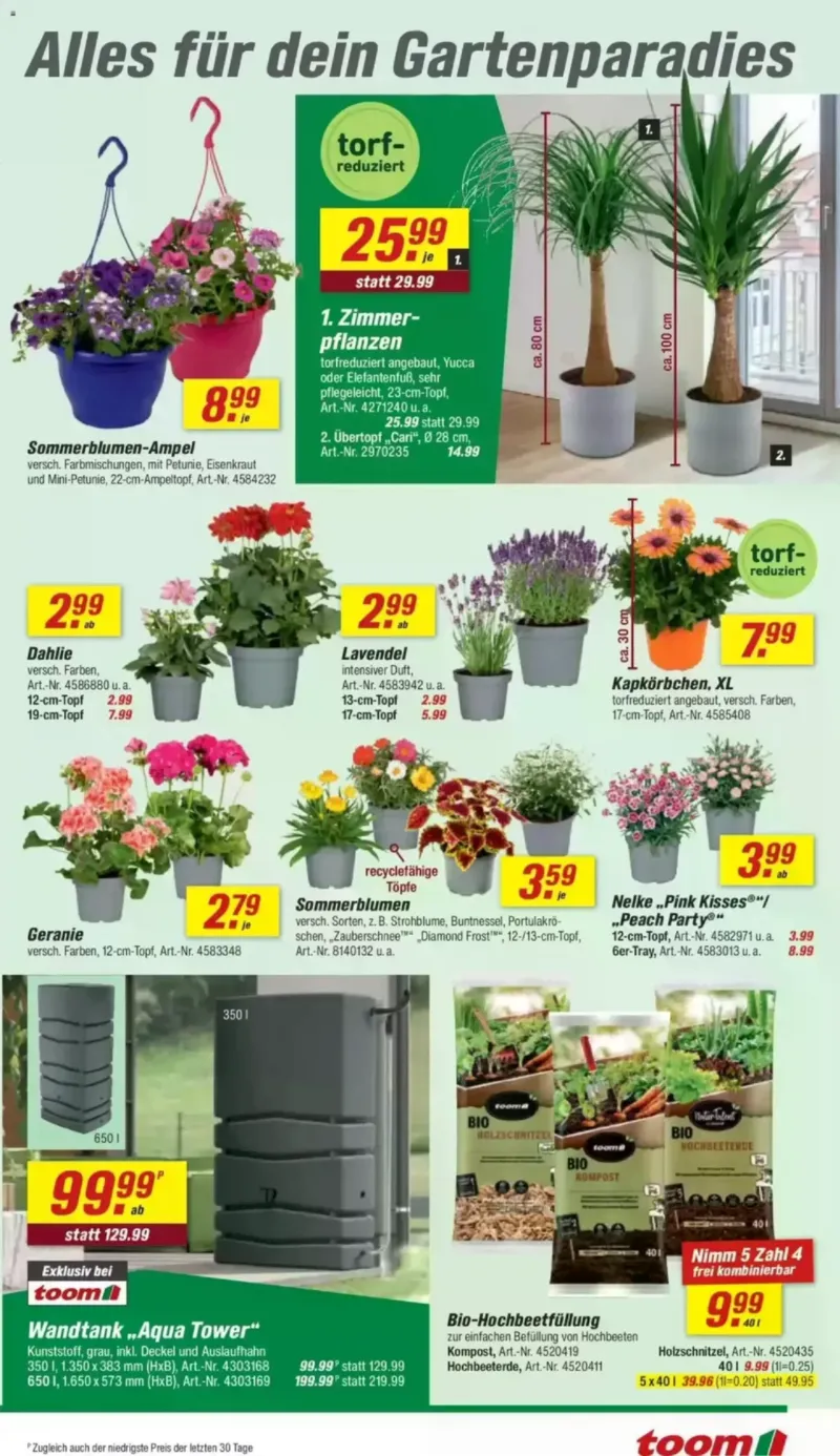 toom Prospekt vom 30.05.2026, Seite 10