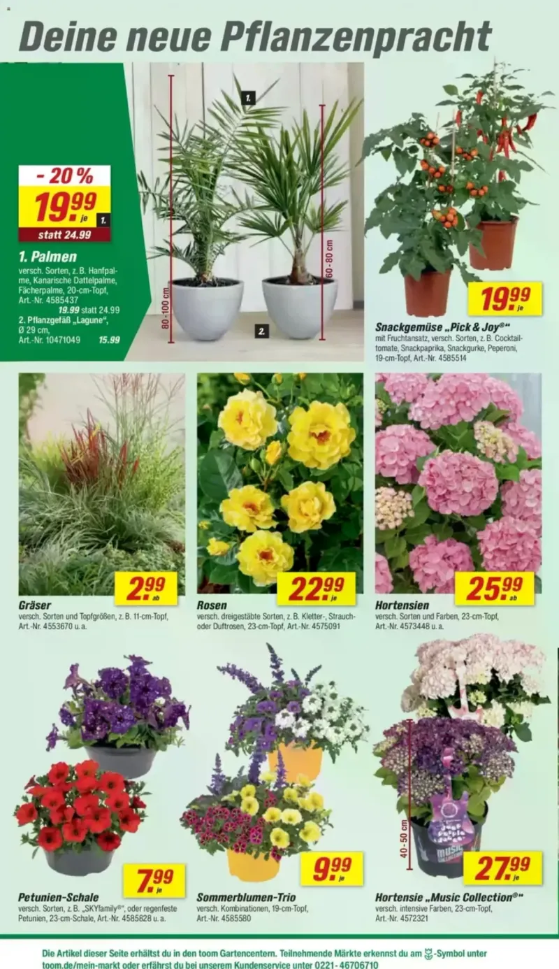 toom Prospekt vom 30.05.2026, Seite 9