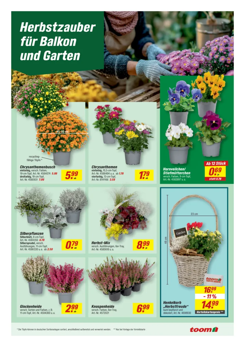 toom Prospekt vom 26.09.2026, Seite 15