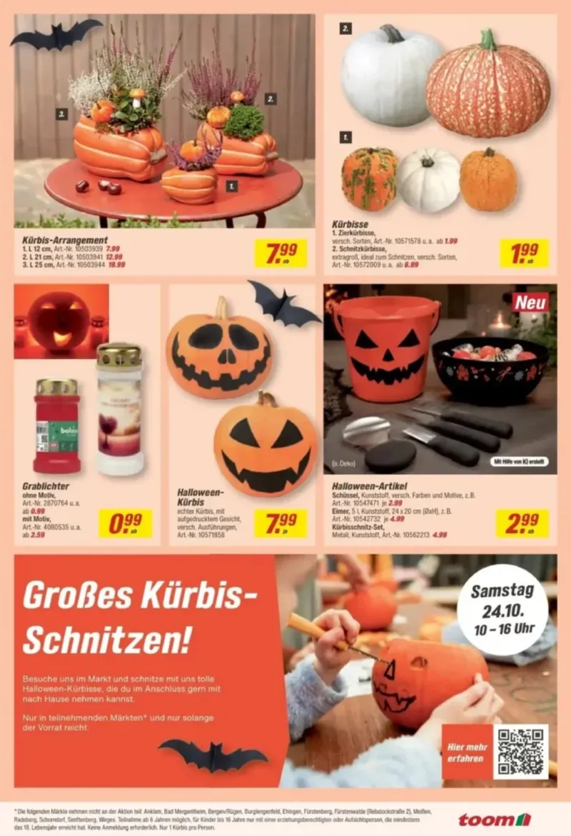 toom Prospekt vom 12.10.2026, Seite 3