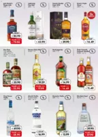 Travel FREE Prospekt vom 06.03.2026