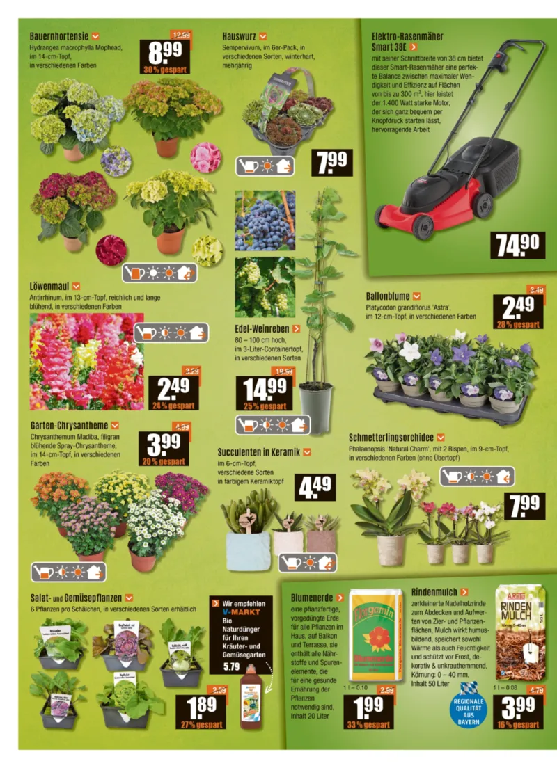 V-Baumarkt Prospekt vom 30.05.2025, Seite 2
